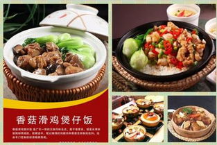 餐饮管理市场行情与信息发布指南